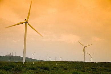 EA黑暗童话风格新作《任意迷途》确定9月10日上市